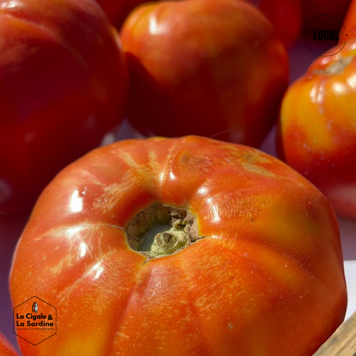 Tomates cultivées en Plein Champs | Cultivées à Aubagne