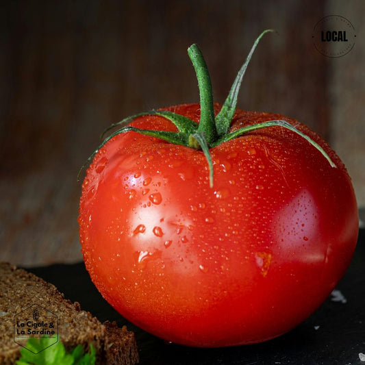 Tomate Ronde | Cultivée à Roquevaire