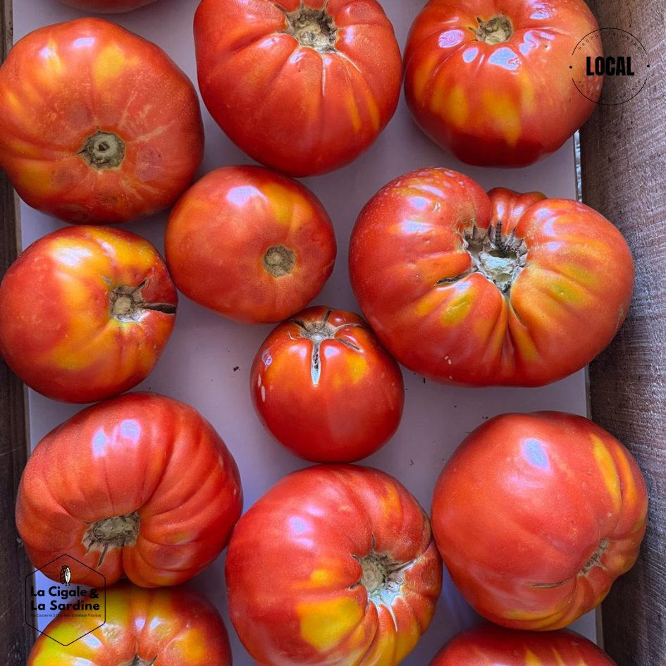 Tomates cultivées en Plein Champs | Cultivées à Aubagne