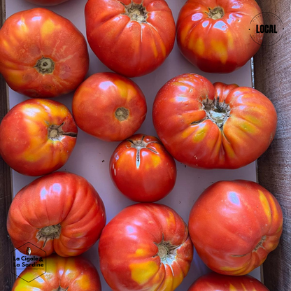 Tomates cultivées en Plein Champs | Cultivées à Aubagne