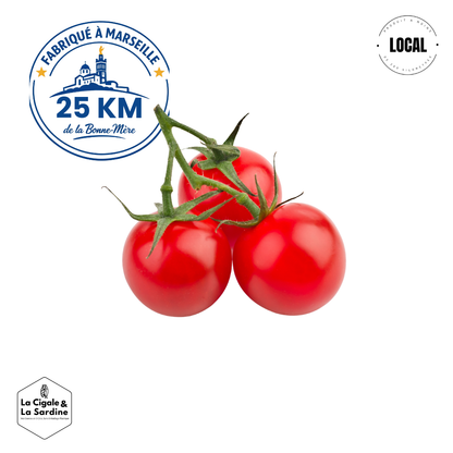 Tomates Cerises | Cultivées à Roquevaire