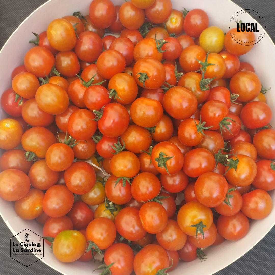 Tomates Cerises | Cultivées à Roquevaire