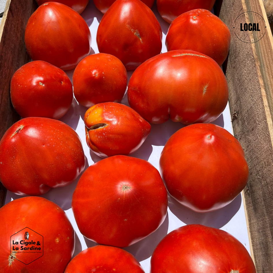 Tomates cultivées en Plein Champs | Cultivées à Aubagne