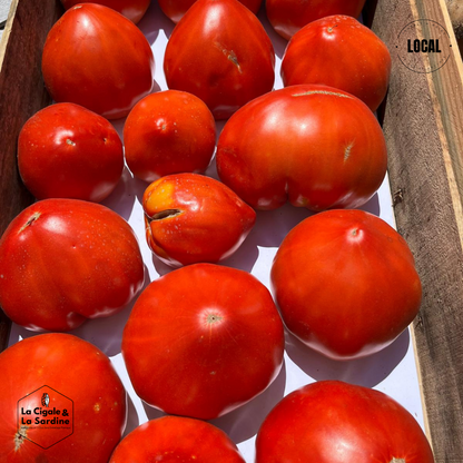 Tomates cultivées en Plein Champs | Cultivées à Aubagne